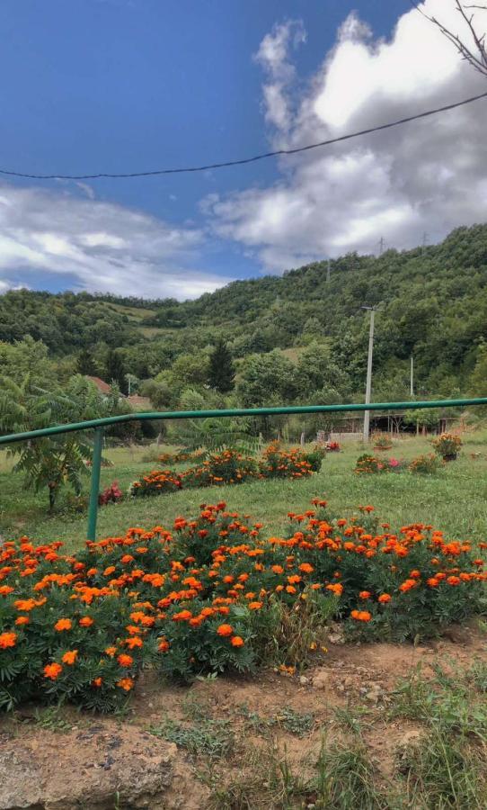 Apartmani Kod Mikija Visoko Exterior photo